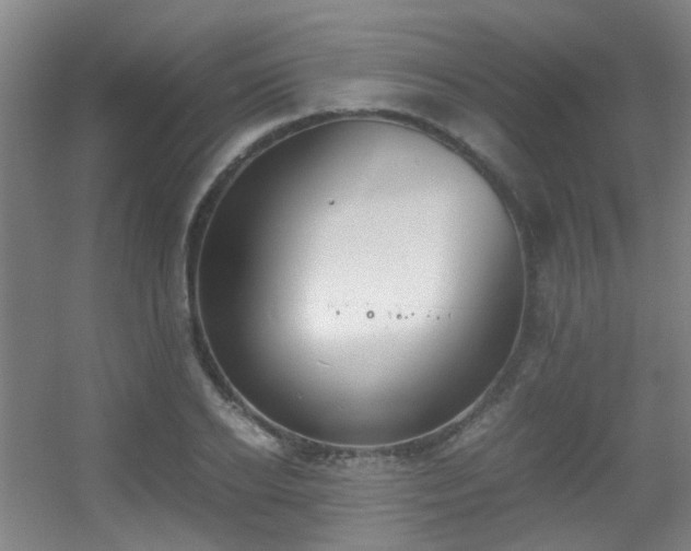 X0000056000934200508221319