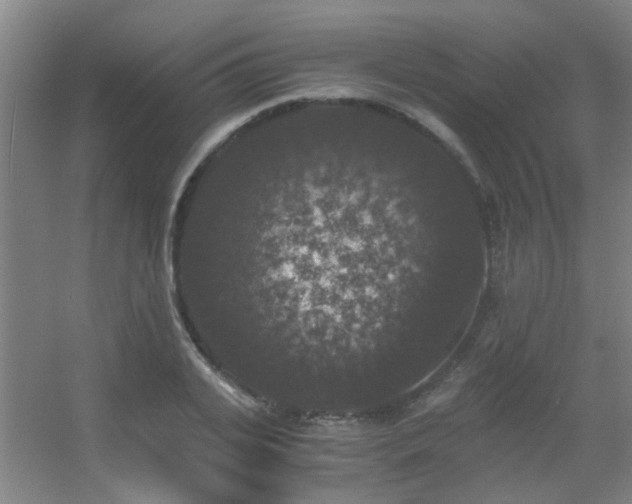 X0000056000935200508221319