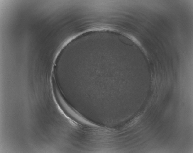 X0000056000943200508221319