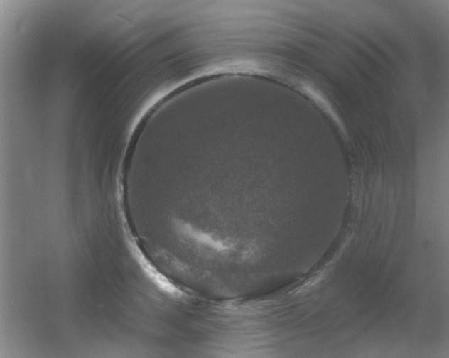 X0000056000944200508221319