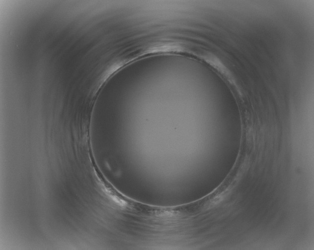 X0000056000945200508221319