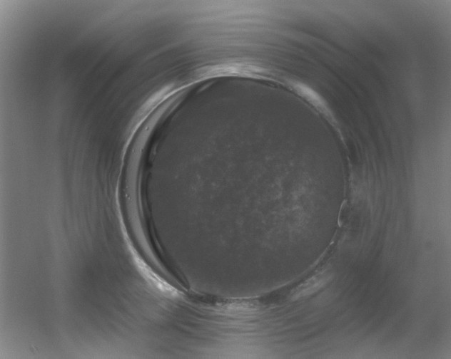 X0000056000946200508221319