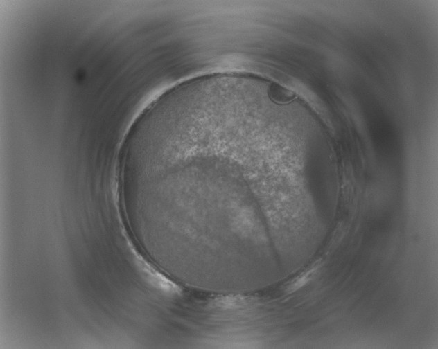 X0000056000950200508221319