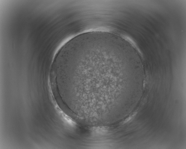 X0000056000952200508221319