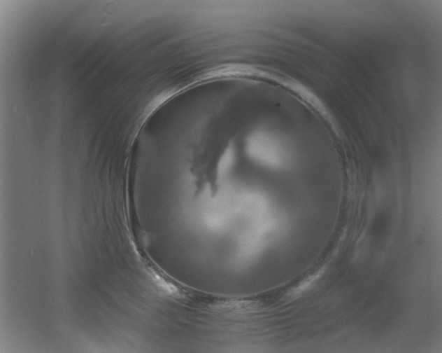 X0000056000953200508221319