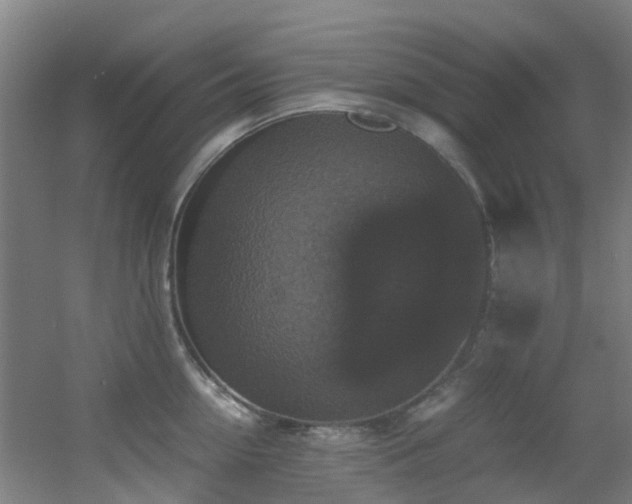 X0000056000954200508221319