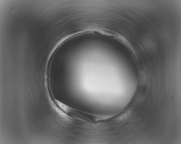 X0000056000955200508221319