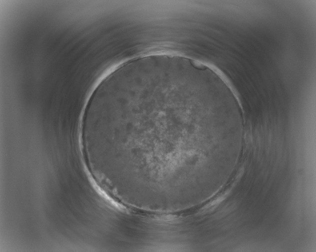 X0000056000957200508221319