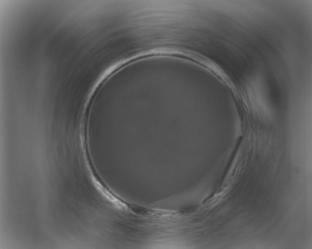 X0000056000958200508221319