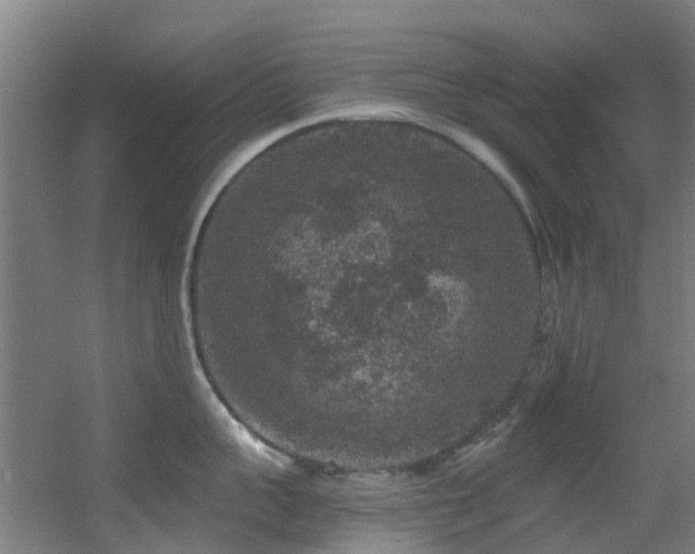 X0000056000959200508221319