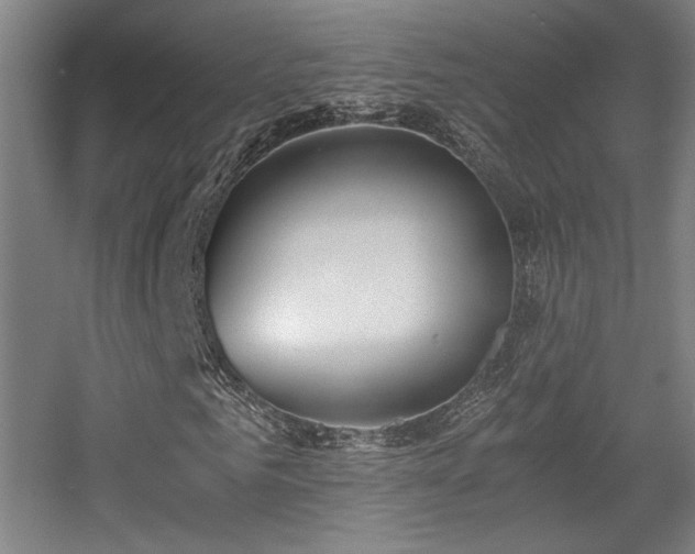 X0000056000961200508221319