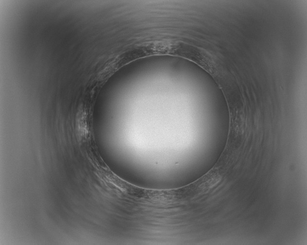 X0000056000962200508221319