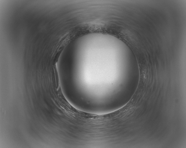 X0000056000964200508221318