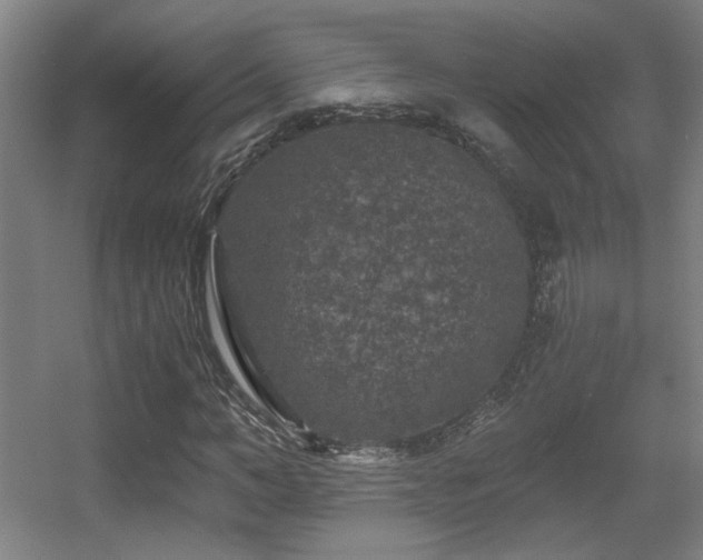 X0000056000966200508221318