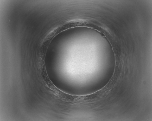 X0000056000967200508221318