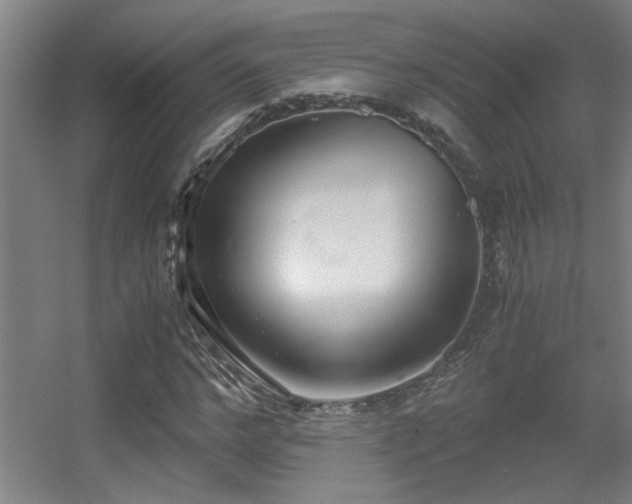 X0000056000968200508221318