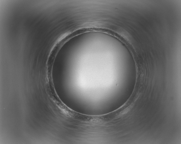 X0000056000974200508221318