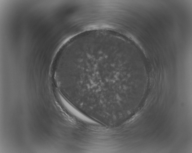 X0000056000975200508221318