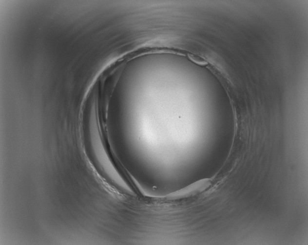 X0000056000976200508221318