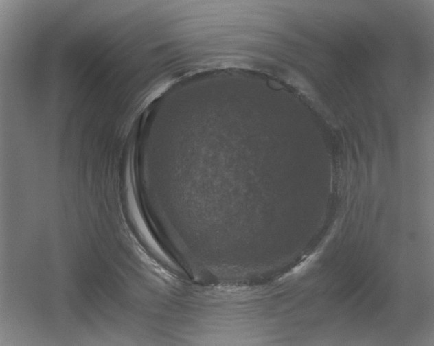 X0000056000977200508221318