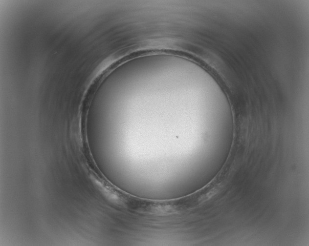 X0000056000982200508221318