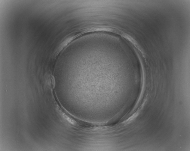 X0000056000985200508221318