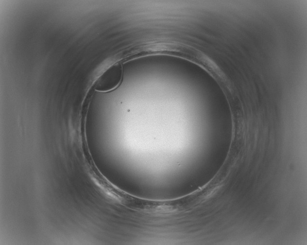 X0000056000986200508221318