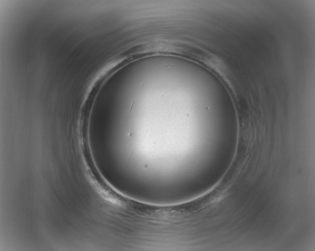 X0000056000987200508221318