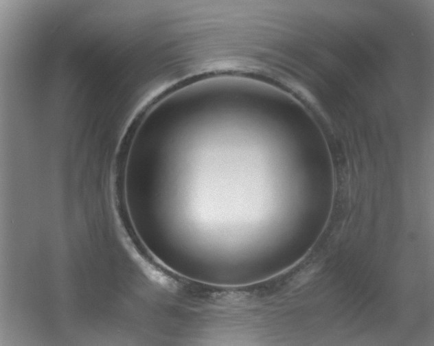 X0000056000991200508221318