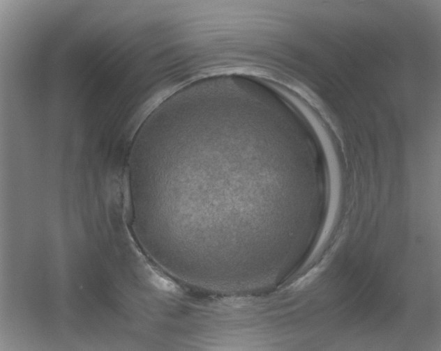 X0000056000993200508221318