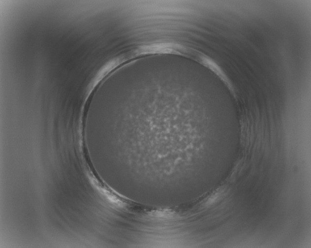 X0000056000994200508221318