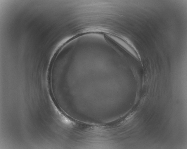 X0000056000995200508221318