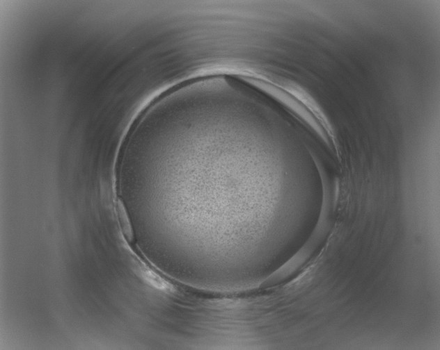 X0000056000996200508221318