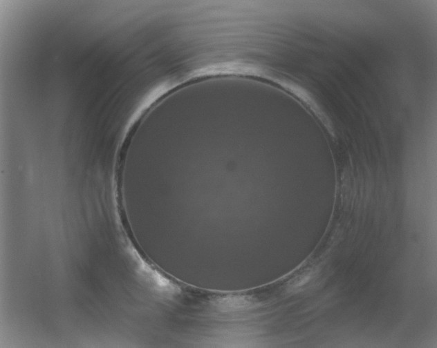 X0000056000998200508221318