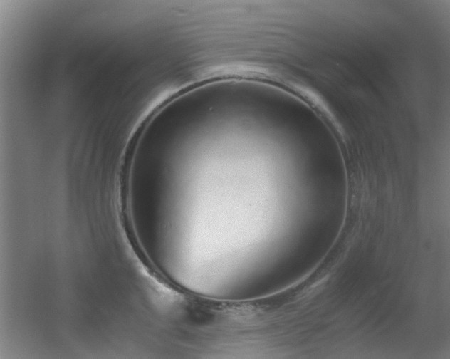 X0000056000999200508221318