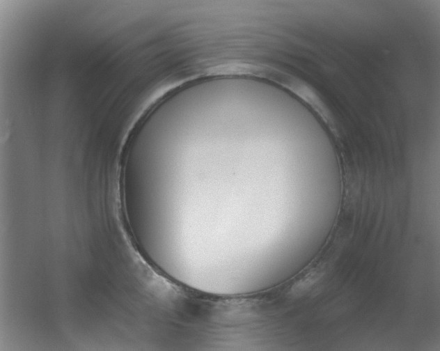 X0000056001000200508221318