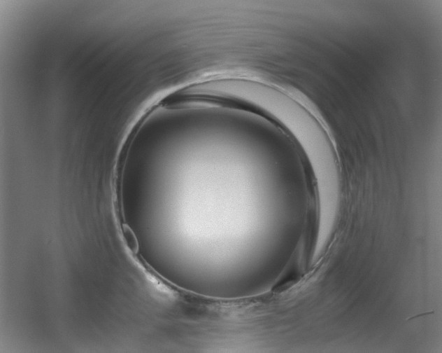 X0000056001005200508221318