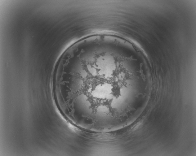 X0000056001007200508221318