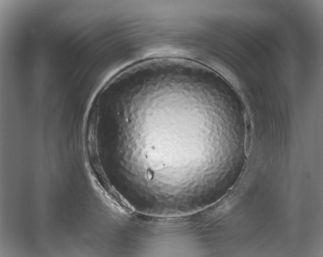 X0000056001008200508221318