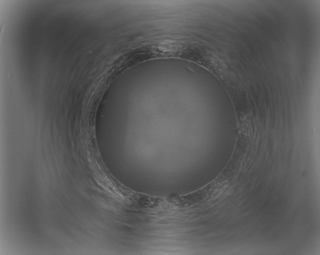 X0000056001009200508221317