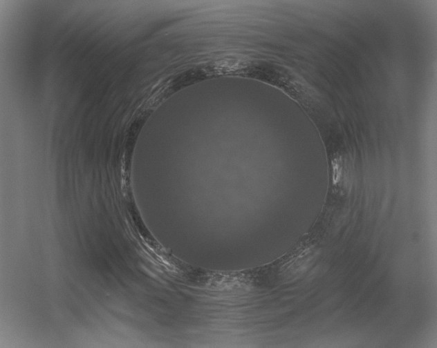 X0000056001011200508221317