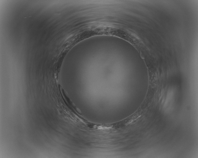 X0000056001013200508221317