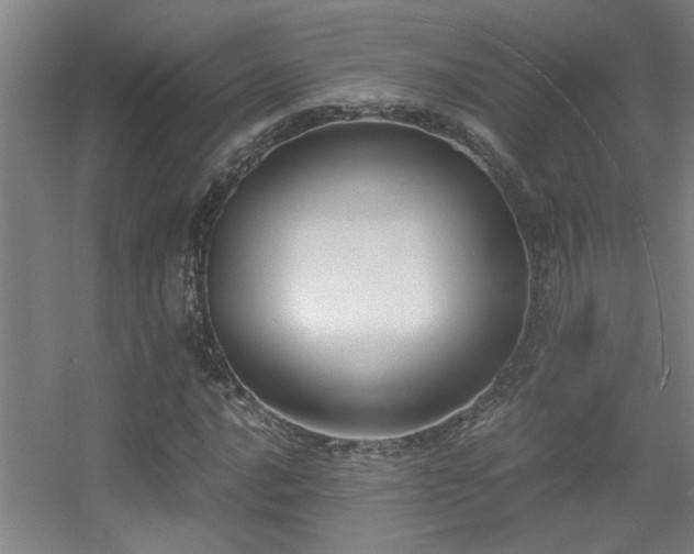 X0000056001016200508221317