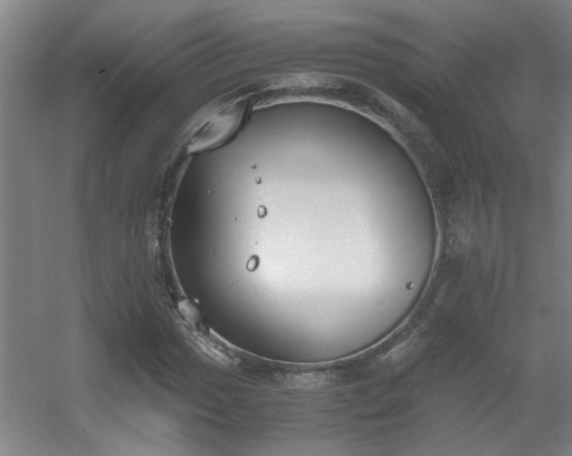 X0000056001017200508221317