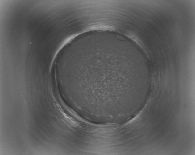 X0000056001022200508221317