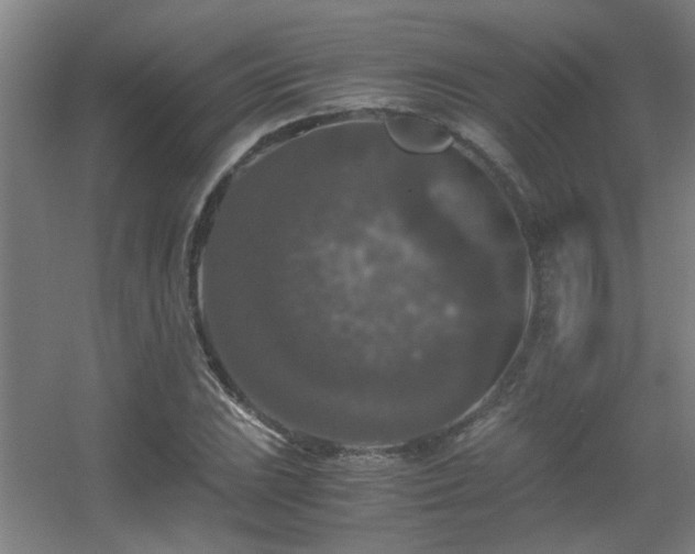 X0000056001023200508221317