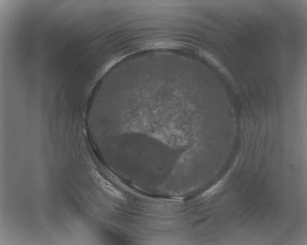 X0000056001025200508221317