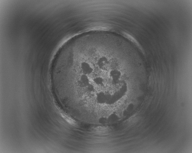 X0000056001027200508221317