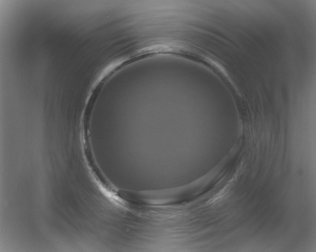 X0000056001034200508221317