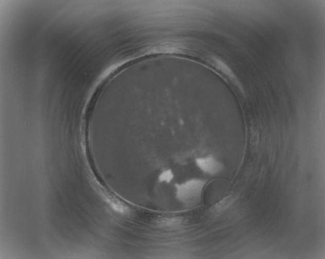 X0000056001035200508221317